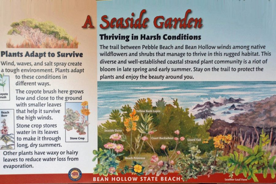 Interpretive signs teach about the area's history, flora and fauna. (Photo: CA State Parks)