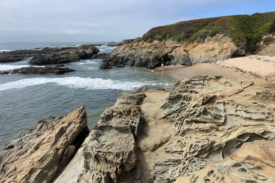 Tafoni formations — or ‘Swiss cheese rock’ — are beautiful honeycomb shaped sandstone rock outcroppings that are a feature of the tide pools at Bean Hollow State Beach.