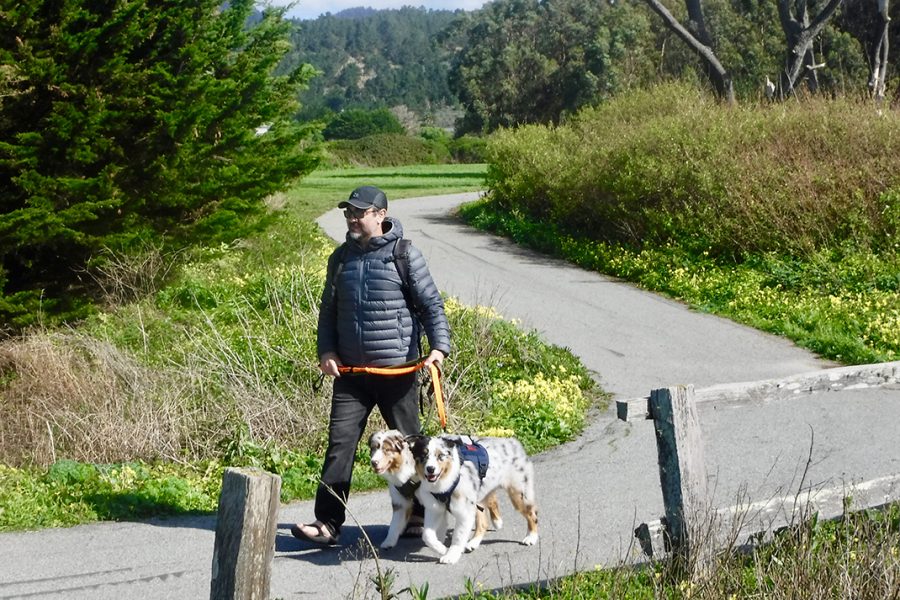 The trail is paved the entire way from Poplar Beach to Miramar.