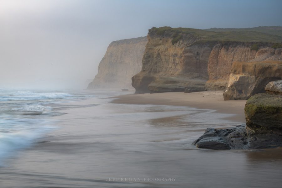 DSC_9554-2-2