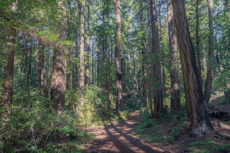 Hiking-only trails through scenic canyons and uplands