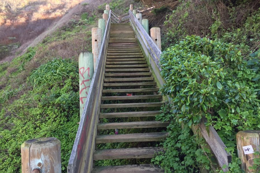 A few of the 147 steps to access the beach.