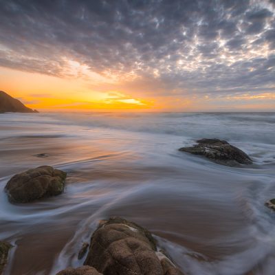 Gray Whale Cove State Beach_hero