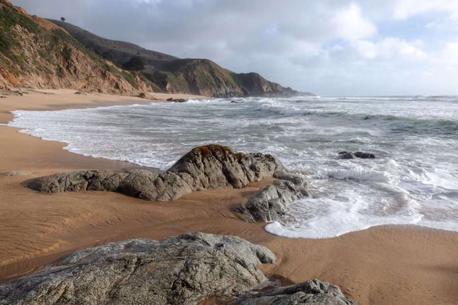 Gray Whale Cove daytime-scaled