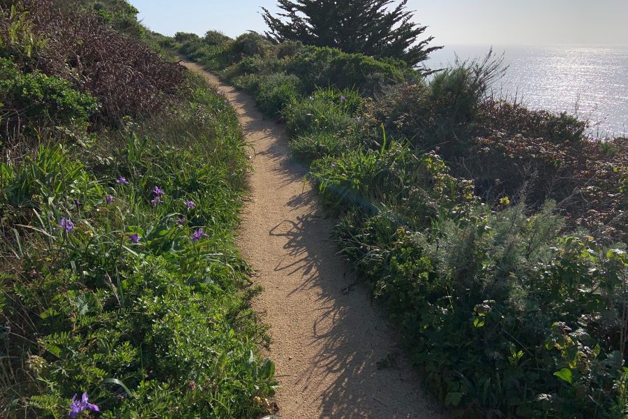 Trails are combination of pathways and former roadbeds.