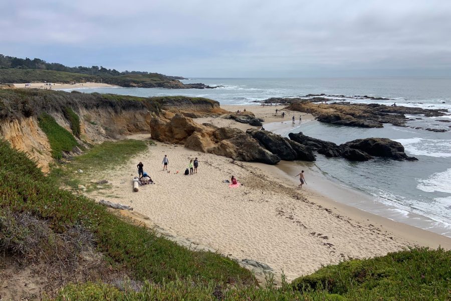 Beach scene near Bean Hollow trail to Pebble Beach.