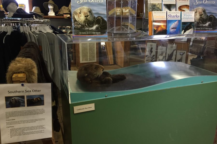 Interpretive elements are scattered through the store (Photo: CSPA archive)