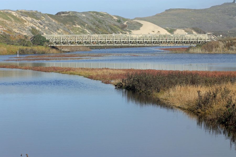 North Pond foot bridge