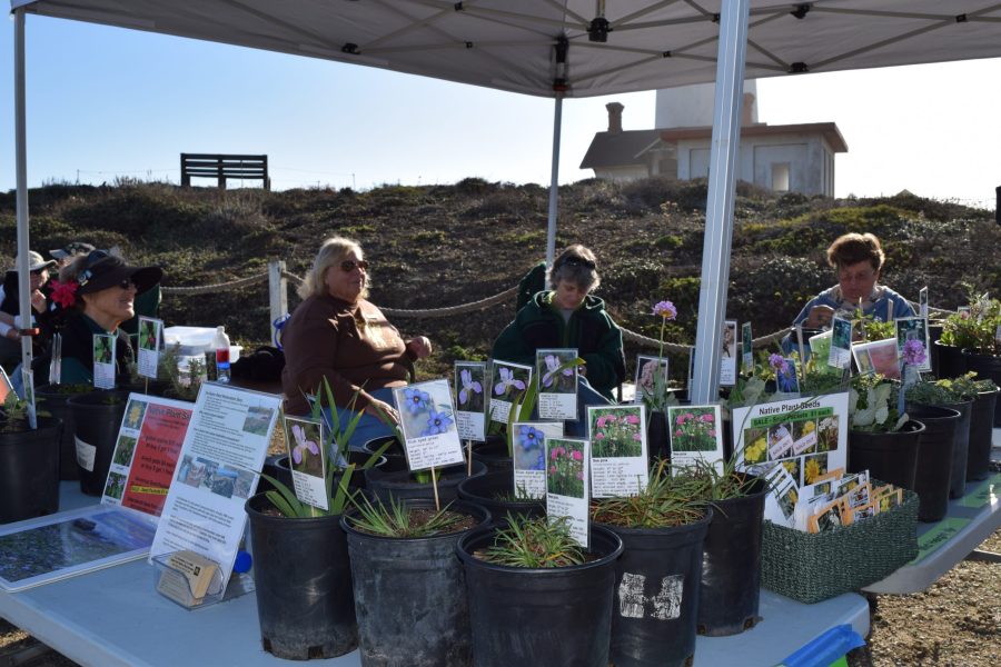 Native Plant Sales (Photo: CA State Parks)