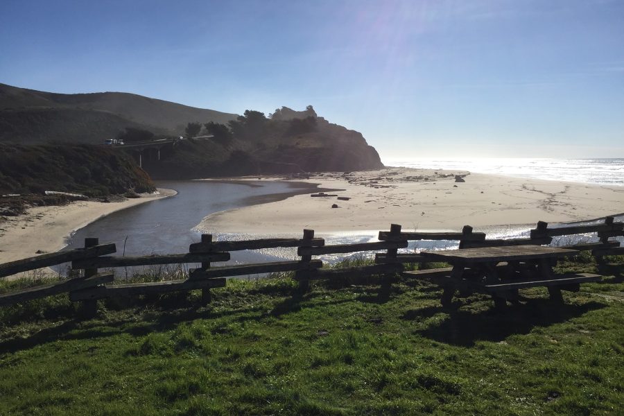 Beach as seen from the picnic area