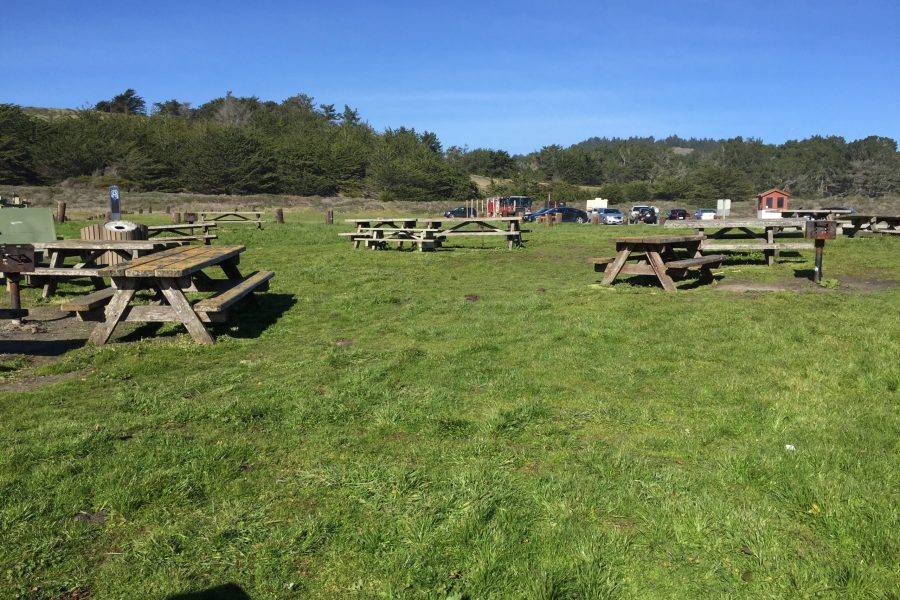The San Gregorio picnic area